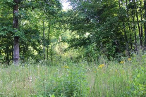 236 Cooper Valley Rd, Martin, GA 30557-4968