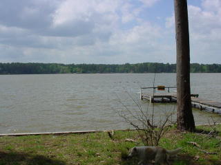 224 Arrowhead Dr, Mayfield, GA 31087-2122