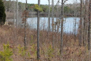 205 Laurel Lakes Dr, Carrollton, GA 30116-5807