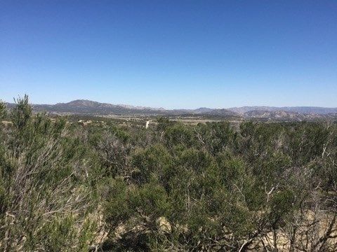 38545 Hi Pass Rd, Boulevard, CA 91905