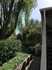 281 Norris Canyon Ter, San Ramon CA  94583-1489 exterior