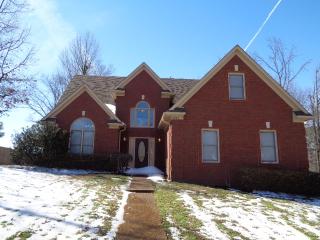 6207 Chester Cv, Southaven MS  38671-9476 exterior