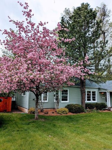 1050 Amherst Ave, Englewood, CO 80113-1712