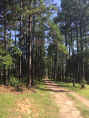 644 Andrews Ln, Cairo, GA 39828-7027
