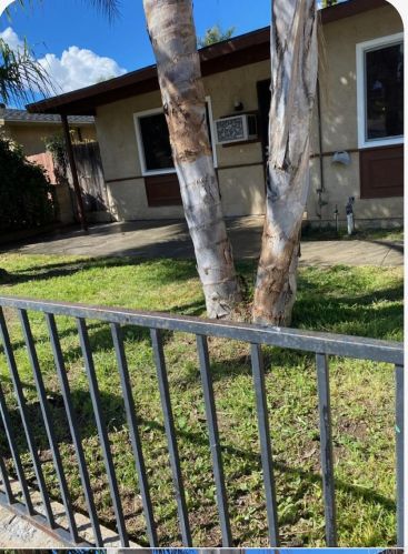 291 Lustrosos St, Oceanside, CA 92057-5239