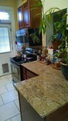 918 29th St, Denver CO  80205-2720 exterior
