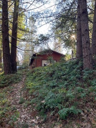 6041 Arrowhead Ct, Michigan Bluff, CA 95631-9603