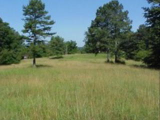 810 Bremen Mount Zion Rd, Waco, GA 30182-0029