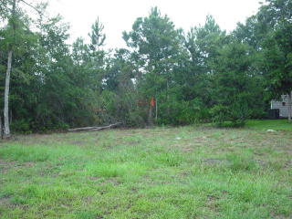 112 Galemist Ct, Brunswick, GA 31523-7142