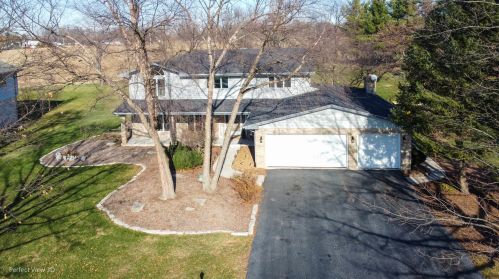 12995 Silver Fox Dr, Lemont, IL 60439-6766