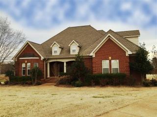 102 Farmington Cv, Lexington, TN 38351-4791
