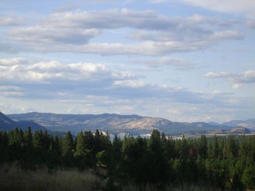 5937 River Bend Way, Hunters, WA 99129-9710