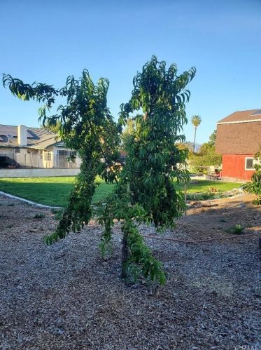 16743 Stallion Pl, Riverside CA  92504-5843 exterior