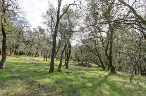 25332 China Hollow Rd, Auburn, CA 95602-8925