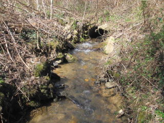 175 Beech Ln, Unaka, NC 28906-5564