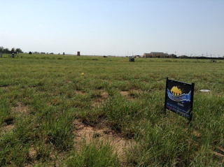 1508 Churchill Ave, Wolfforth, TX 79382-3336