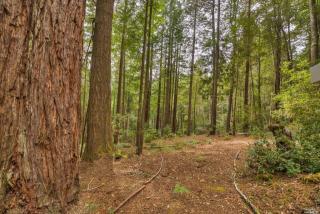 22051 Rust Ct, Jenner, CA 95450-9716