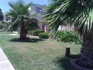1305 Springvale Dr, San Antonio TX  78227-4744 exterior