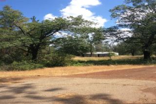 28298 State Highway 44, Shingletown, CA 96088-9730