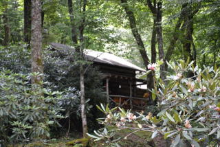 6503 Gingercake Rd, Beech Bottom, NC 28657-7369