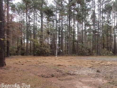 495 Grant County 19, Grapevine, AR 72057-9041