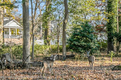 10 Circle Dr, Locust, NJ 07760-1112