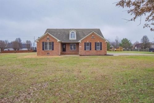 113 Mabry Dr, Murfreesboro, TN 37127-7738