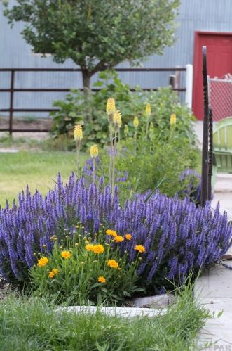 706 Avondale Blvd, Avondale CO 81022-8702 exterior