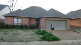 6853 Theda Cv, Millington, TN 38053-4060