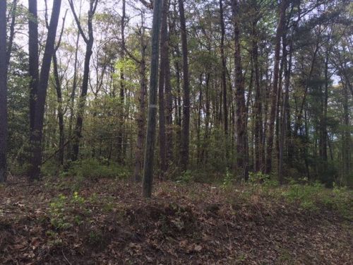 2 Deer Trail Dr, Farnham, VA 22460-2234