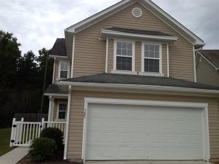185 Chemistry Cir, Ladson SC  29456-5288 exterior
