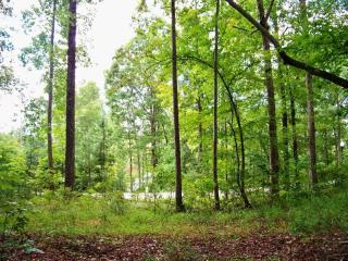 513 Scharlin Dr, Pickens, SC 29671-7214