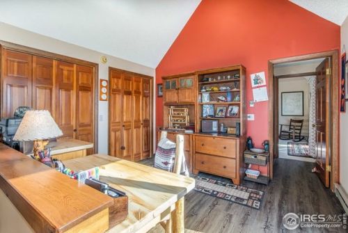 1601 Zermatt Trl, Estes Park CO exterior