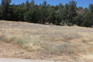 610 Quiet Pl, Vallecito, CA