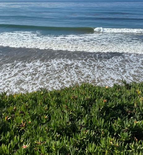 6587 Del Playa Dr, Santa Barbara, CA 93117-5195