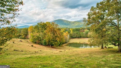 491 Goldmine Rd, Ellijay, GA 30536-4670