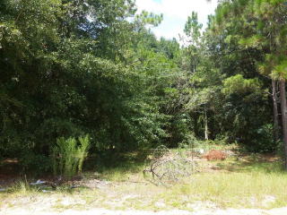 110 Mellon St, Jesup, GA 31545-4721