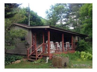 45 Mountain Meadow Ln, Canton, NC 28716-9698