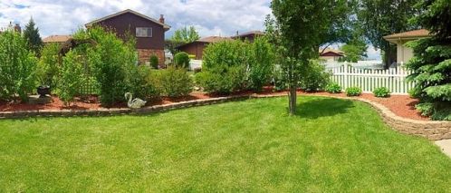 15642 Terrace Dr, Oak Forest, IL 60452-2858
