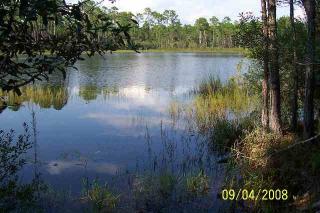 184 Jer Be Lou Cir, Ochlockonee Bay, FL 32346-1905