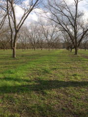 600 Judge Lott Rd, El Dorado, GA 31637-5544