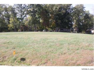 2 Josephine Dr, Pittsburg, IL 62471-1443
