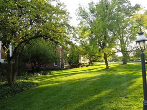 20 Tower Rd, Oak Brook IL  60523-1126 exterior