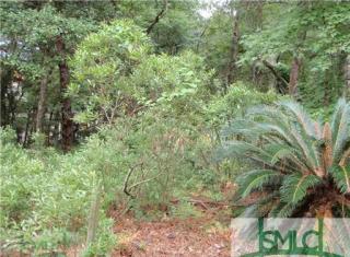 4 Callavance Ct, Savannah, GA 31411-2888