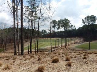 1251 Rose Crk, Reynolds Plantation, GA 30642-6447