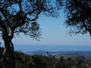 13 Cantera Run, Carmel, CA 93923-7703