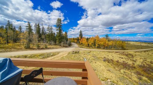 1807 Kiowa St, Fairplay CO 80456 exterior