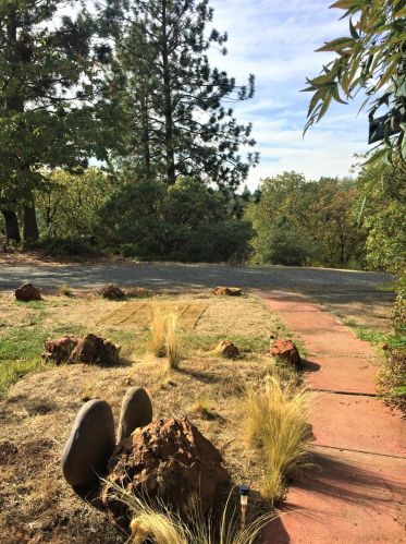 21460 Meadow Oaks Ln, Cape Horn, CA 95713-9233