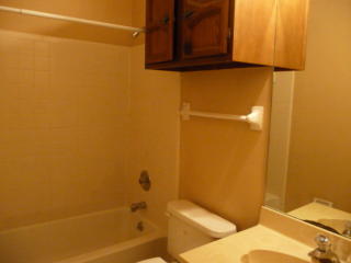 3759 Deer Forest Dr, Memphis TN  38115-5219 exterior