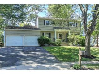 11 Ginesi Ct, Edison, NJ 08817-2806